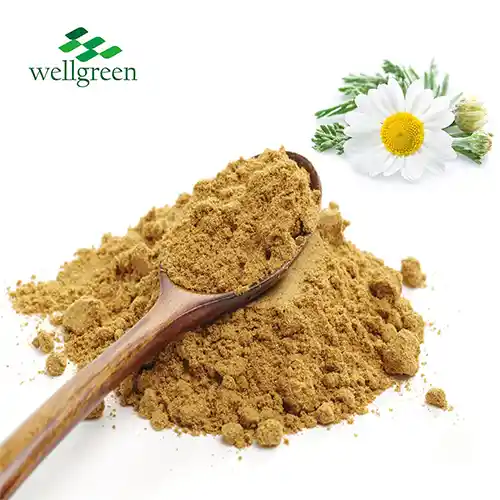 Chamomile Extract Powder